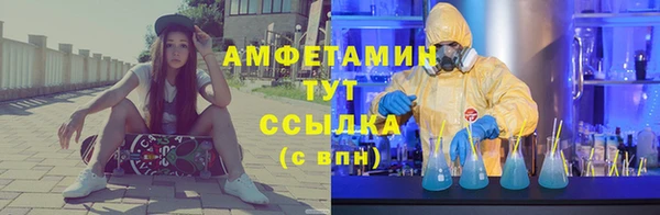метадон Богданович