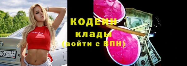 метадон Богданович