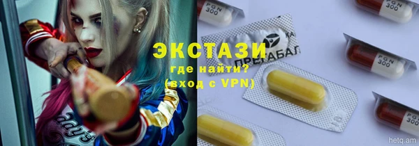 spice Богородицк