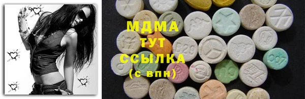 spice Богородицк