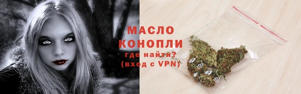 метадон Богданович