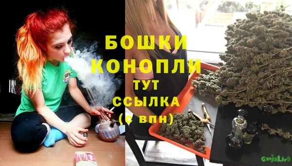 метадон Богданович