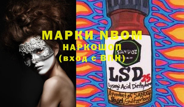 spice Богородицк