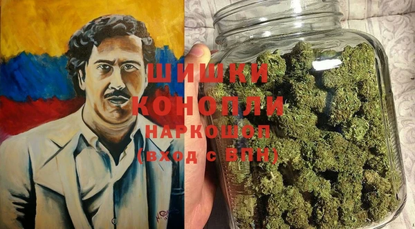 эйфоретик Белокуриха
