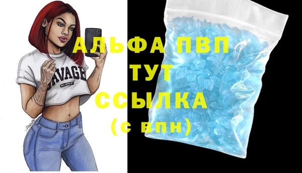 spice Богородицк