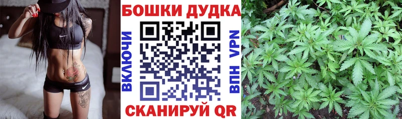 Марихуана план  Белореченск 